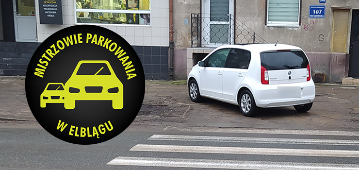 Mistrzowie parkowania w Elblgu (cz 229)