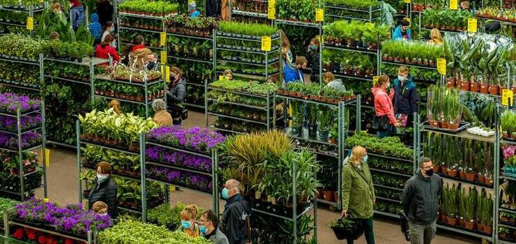 Festiwal Roślin niebawem w Elblągu