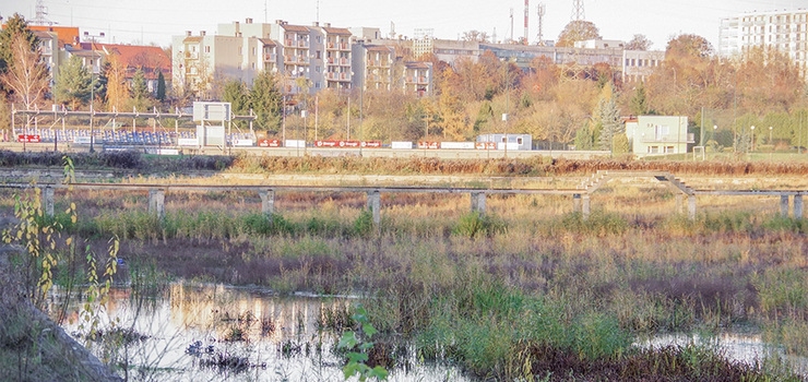 Wizją rewitalizacji kąpieliska elblążanie mamieni są od lat. Temat wróci przed wyborami?