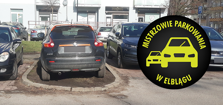 Mistrzowie parkowania w Elblągu (część 233)