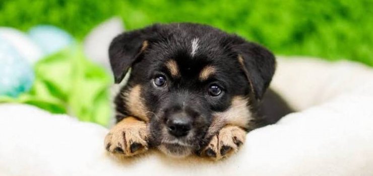 Lara, Limonka i Lenor. Urocze dzieciaczki do pokochania od zaraz!