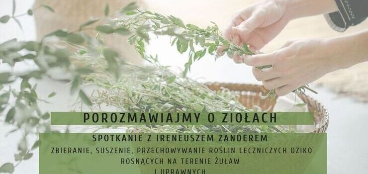 Porozmawiajmy o ziołach