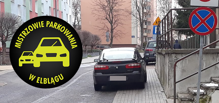 Mistrzowie parkowania w Elblgu (cz 239)