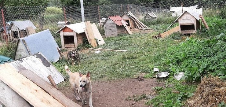 Zamykane na gucho w budach