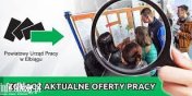 Aktualne Oferty Pracy