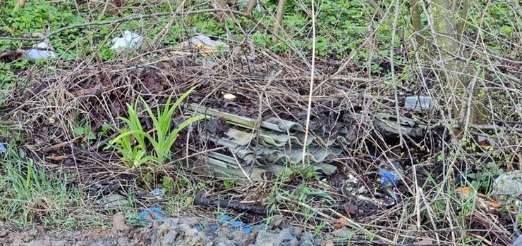 Elbląg: Ktoś wyrzucił azbest na terenie ogrodów działkowych. "Działkowicz pozbył się kłopotu?"