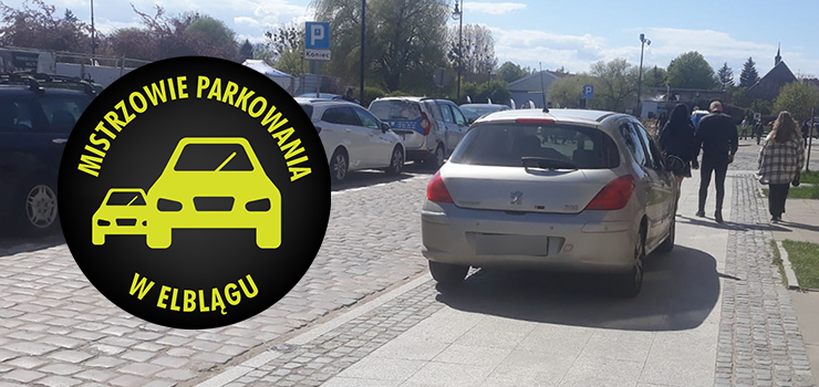 Mistrzowie parkowania w Elblągu (część 249)