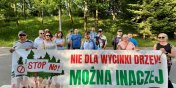 Protestuj, bo "kilkaset drzew ma zosta wycite pod farm fotowoltaiczn”