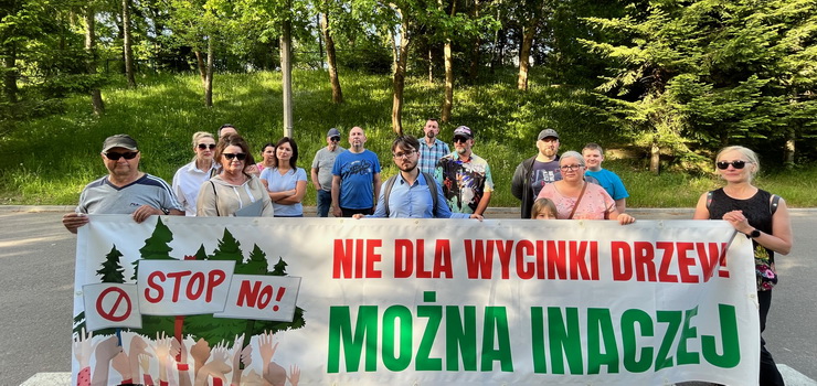 Protestuj, bo "kilkaset drzew ma zosta wycite pod farm fotowoltaiczn”