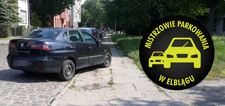 Mistrzowie parkowania w Elblągu (część 256)