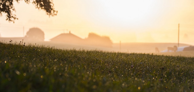 Spadkobiercy odrzucili spadek. Miasto zarobi blisko 3 mln zł?
