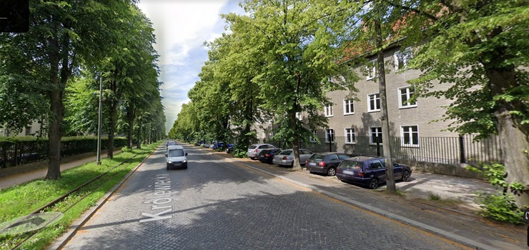 Kilkadziesiąt drzew zostanie wyciętych, aby mogła powstać ścieżka rowerowa?