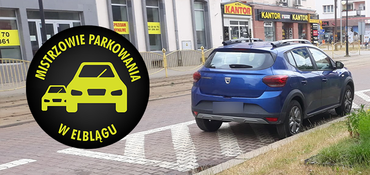Mistrzowie parkowania w Elblągu (część 260)