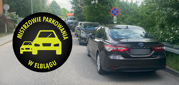 Mistrzowie parkowania w Elblągu (część 261)
