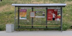 Elblg: Zamiast zielonych przystankw betonowe mietniki?"Problem jest wszdzie"