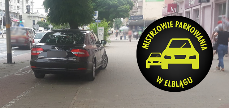 Mistrzowie parkowania w Elblągu (część 264)