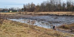 Elbl�g: 72 mln z� nie wystarcz� na rewitalizacj� k�pieliska?
