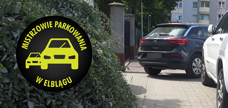 Mistrzowie parkowania w Elblągu (część 267)