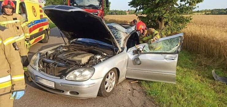 Mercedes uderzy bokiem w przydrone drzewo 