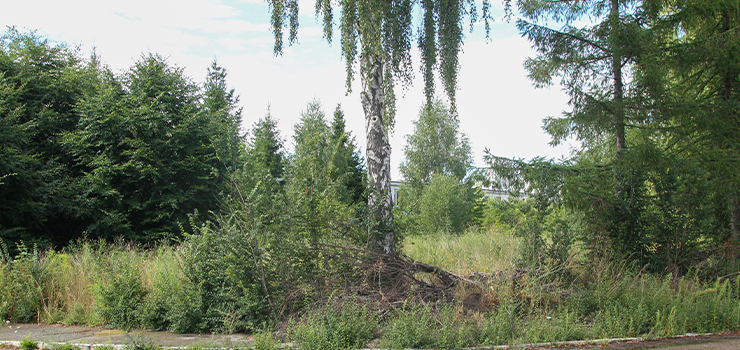 Elbląg: Kolejna działka przy ul. Lotniczej pójdzie pod młotek