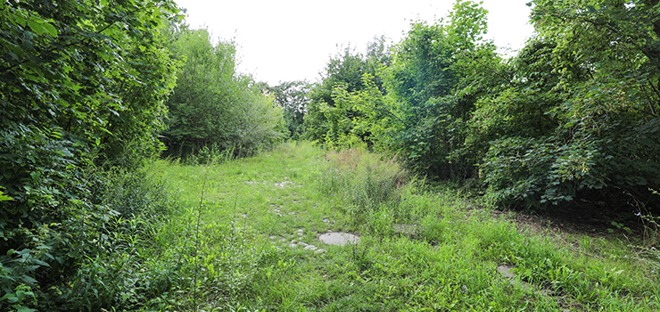 Elbląg: Miasto chce wystawić na sprzedaż działkę za blisko 2 mln zł. To teren pod parking