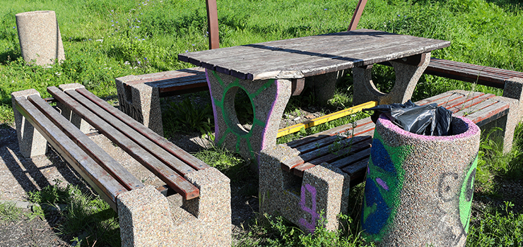 Pieniądze wyrzucone w błoto to nie tylko Gęsia Góra? Hity i kity budżetu obywatelskiego