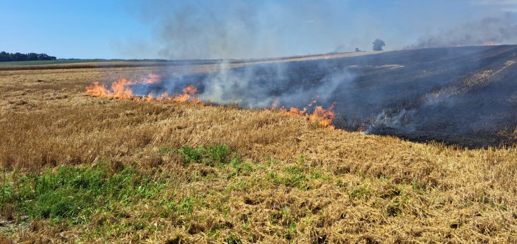 Pogrodzie: Pożar zboża i ścierniska na powierzchni ok.10 ha