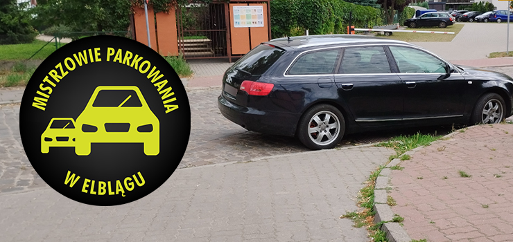 Mistrzowie parkowania w Elblągu (część 279)