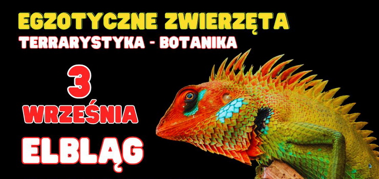 Pierwsza edycja Targw egzotycznych zwierzt niebawem w Elblgu - wygraj bilety