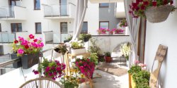 Konkurs: „Najpi�kniejszy Balkon”. Zg�oszenia tylko do 31 sierpnia