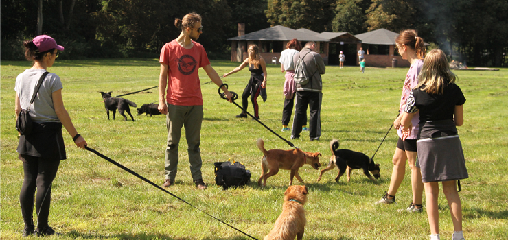 Psy ze schroniska miały niezły spacer. Za nami kolejny Bieg na 6 Łap (zobacz zdjęcia)