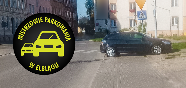 Mistrzowie parkowania w Elblągu (część 284)