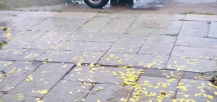 Elbląg: Sekundy radości, a potem godziny sprzątania. Konfetti zmorą pracowników zieleni miejskiej