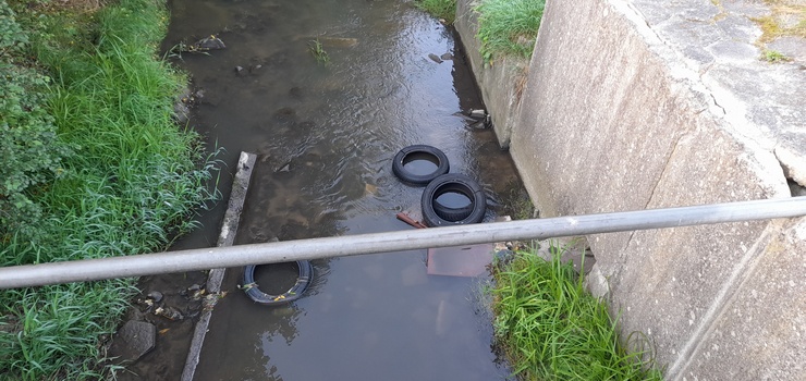 Elbląg: Kumiela to nie śmietnik. Niektórzy mieszkańcy o tym zapominają?