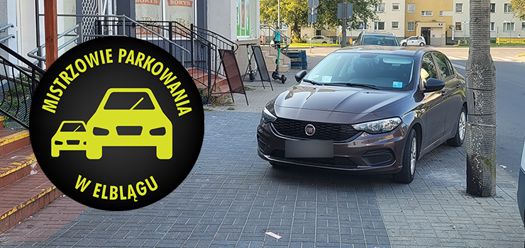 Mistrzowie parkowania w Elblągu (część 286)