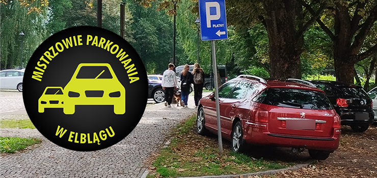 Mistrzowie parkowania w Elblągu (część 287)