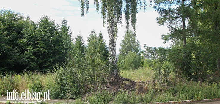 Powojskowy teren wystawiony na sprzedaż. Miasto wyceniło go na ponad 1,2 mln zł