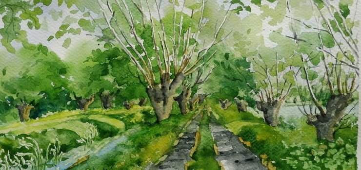 Do drzew mi po drodze – wernisaż wystawy Lucyny Niepokorowicz