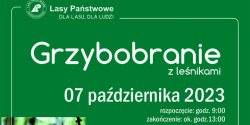 Artyku