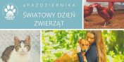 4 padziernika - wiatowy Dzie Zwierzt 