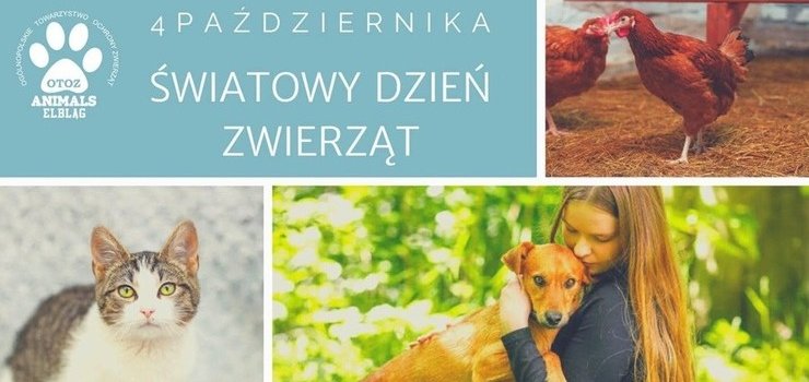 4 października - Światowy Dzień Zwierząt 