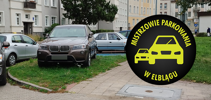 Mistrzowie parkowania w Elblągu (część 293)