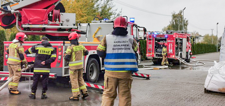 Silny wiatr i wysoki stan wód w Elblągu. To był pracowity weekend strażaków