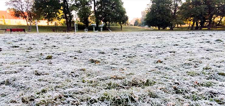 Pojawiły się pierwsze przymrozki
