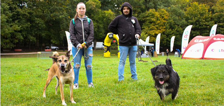 Elbląg: Bieg na 6 łap. Wyjątkowy spacer z psami (zobacz zdjęcia)