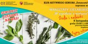 O zioach i nalewkach w Klubie Aktywnego Seniora