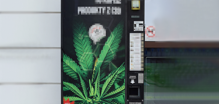 Udaremnili nielegalną sprzedaż jointów i suszu z konopi