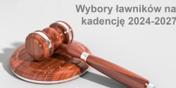 Wybory uzupe�niaj�ce �awnik�w