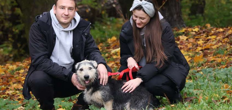 Zostań Mikołajem dla schroniskowego psa