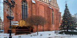 Na Star�wce stan�o bo�onarodzeniowe drzewko